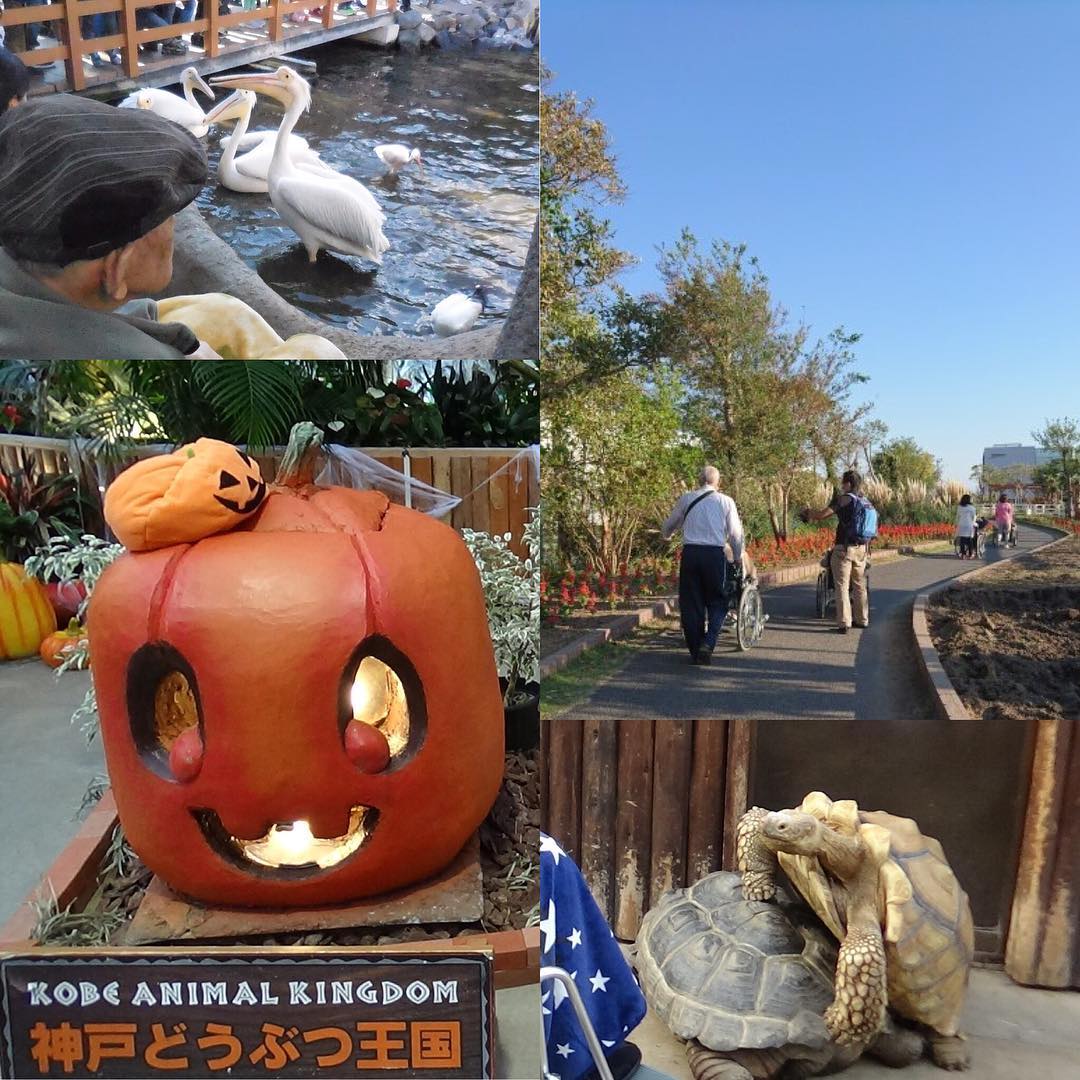 10月29日秋晴れの日に動物王国に行ってきました。